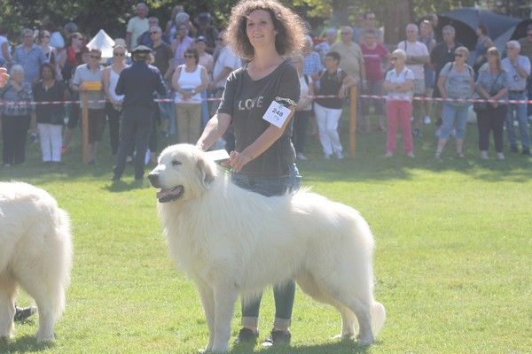 de la Vallée du Girou - Eros de la Vallée du Girou Champion de France Vétéran