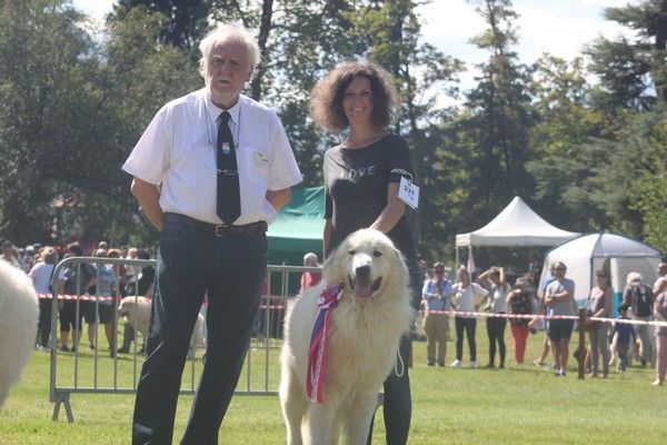 de la Vallée du Girou - Martin L'Ours Vis Champion de France